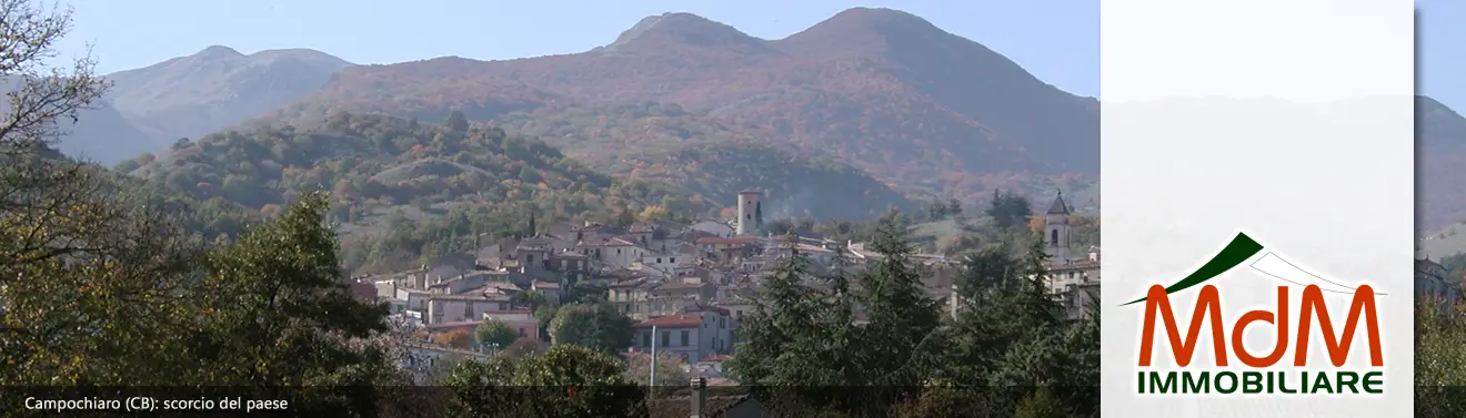 Torna alla Homepage
