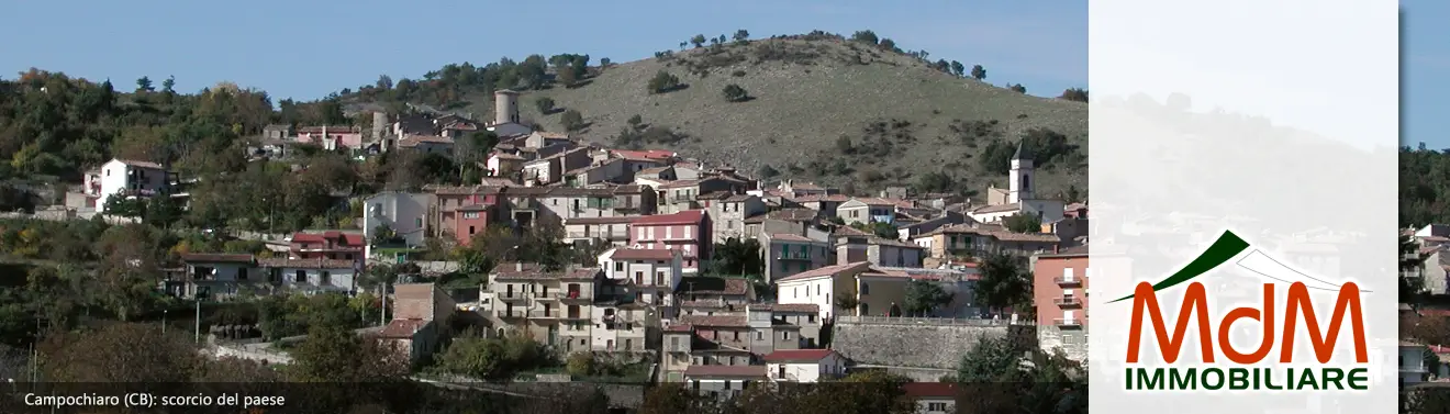 Torna alla Homepage
