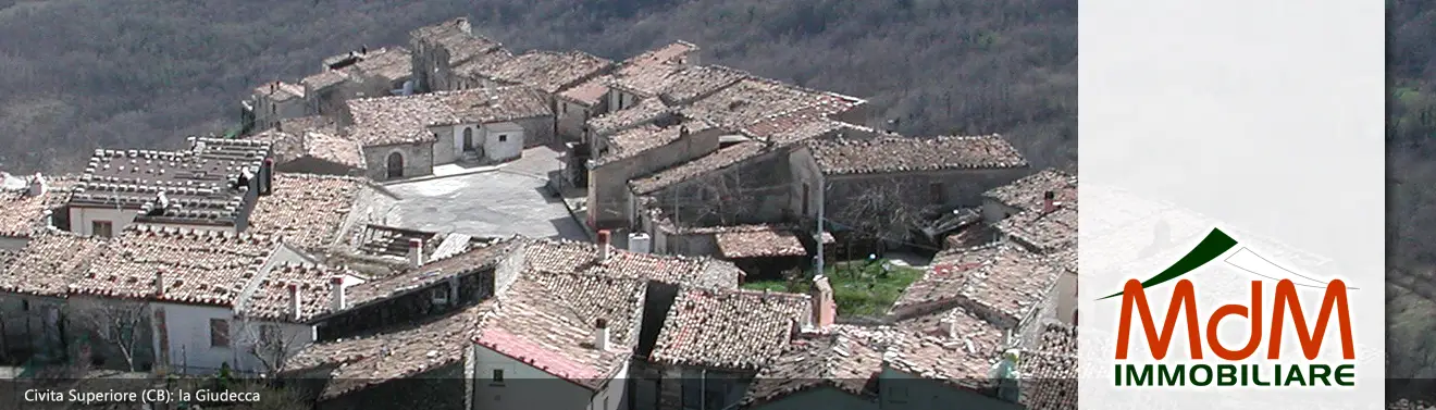 Torna alla Homepage