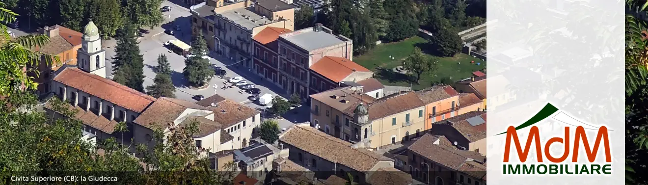 Torna alla Homepage