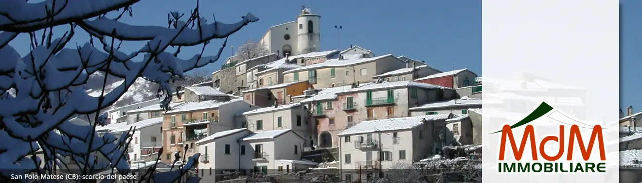 Torna alla Homepage